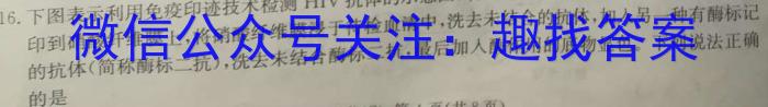 023年云南大联考高三年级4月联考（23-380C）生物"