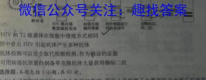 2023年云南大联考高三年级4月联考（23-380C）生物