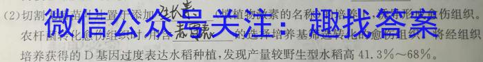 2023年江西大联考高三年级4月联考生物
