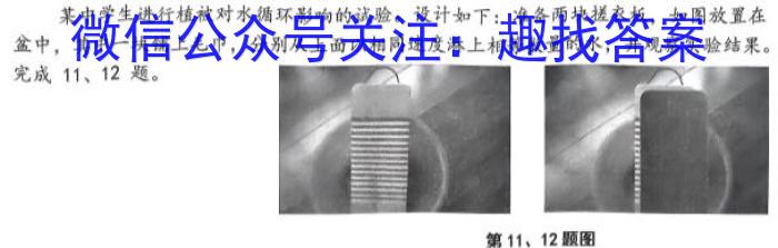 2023年湖北大联考高一年级4月期中联考（23-376A）&政治