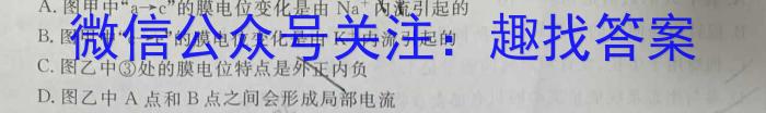 2022-2023学年湖北省高一4月联考(23-376A)生物试卷答案