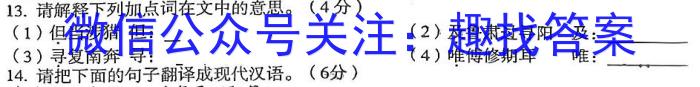 天利38套河北省2023年初中毕业生升学文化课考试押题卷(五)语文