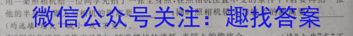 安徽省2023届九年级下学期教学评价二（期中）物理`