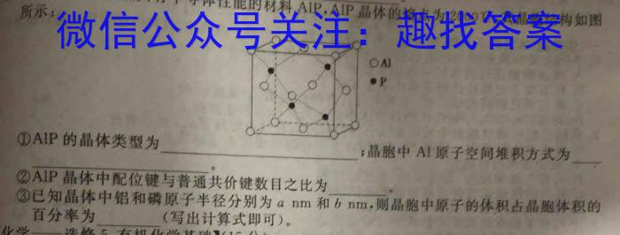 陕西省九年级联盟卷(23-CZ118c)化学