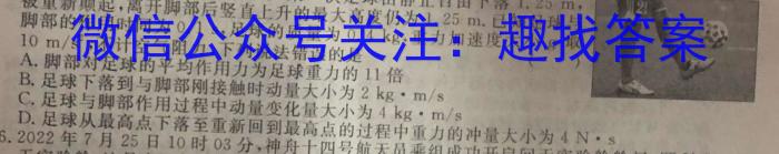 2023年普通高等学校招生全国统一考试·调研模拟卷XK-QG(一)物理.