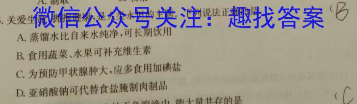 2023年普通高等学校招生全国统一考试仿真模拟卷(二)化学