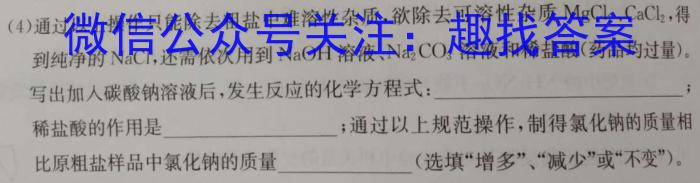 安徽省中考必刷卷·2023年名校内部卷（五）化学