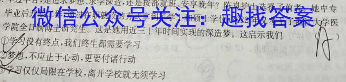 2023年湖北省新高考信息卷(一)政治试卷d答案