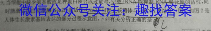 衡水金卷先享题2022-2023下学期高三年级一模考试(老高考)生物