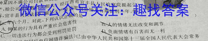 衡水金卷先享题2023高三二轮复*专题卷新高考政治试卷d答案