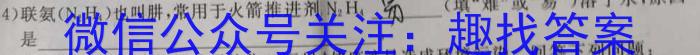 陕西省2023年初中学业水平考试模拟试题（一）化学