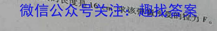 2023年普通高等学校招生全国统一考试 高考仿真冲刺押题卷(二)物理.