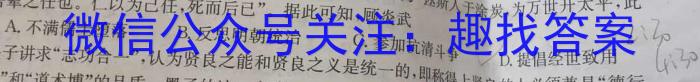 2023届新疆维吾尔自治区普通高考第二次适应性检测历史试卷