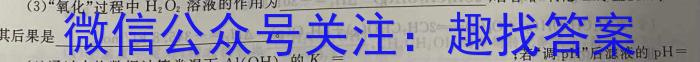 江西省九江市2023年初中学业水平考试复习试卷（三）化学