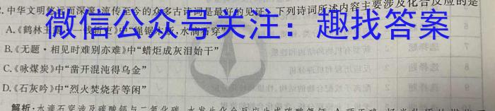 2023届河南省中考适应性检测卷（23-CZ139c）化学