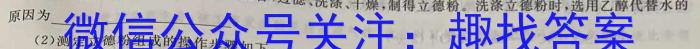 河南省平顶山市2023年中招学科期中测试卷化学