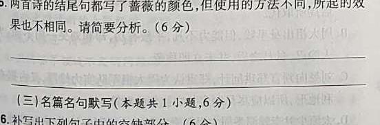 非凡吉创·2024-2023下高三届级TOP二十名校四月冲刺考(一)文数试题试题(更新中)