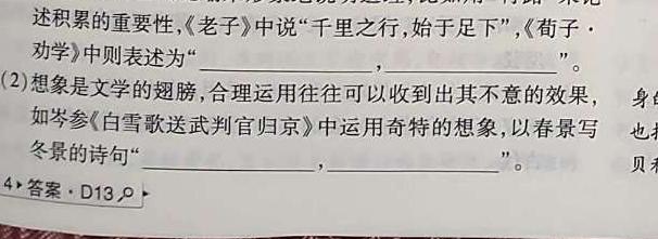 成绵五校·高2023届毕业班适应性考试(5月)理数试题试题(更新中)