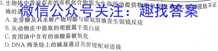2023年重庆大联考高二年级4月期中考试（23-417B）化学