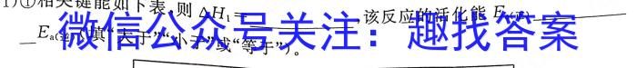 安徽省2023年无为市九年级中考模拟检测（二）化学