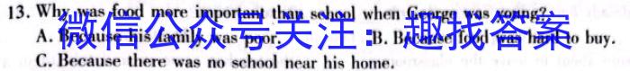 河南省2024-2023学年下期高中毕业班阶段性测试英语