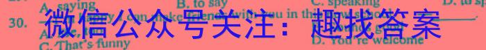 安徽省2023年无为市九年级中考模拟检测（二）英语