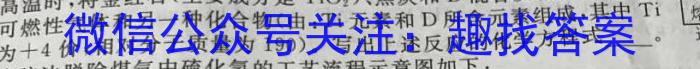 2023届名校之约·中考导向总复习模拟样卷 二轮(六)化学