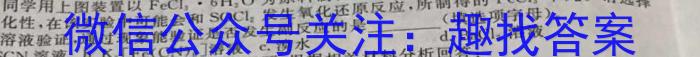 2023年普通高等学校招生全国统一考试标准样卷(四)化学