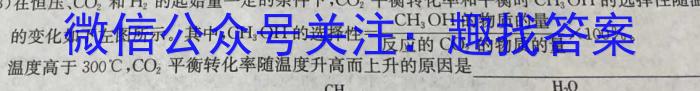 陕西省周至县2022~2023九年级第二次模拟考试化学