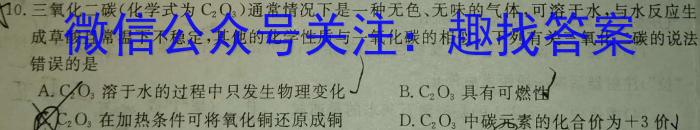 中考必刷卷·2023年安徽中考第一轮复*卷（十）化学