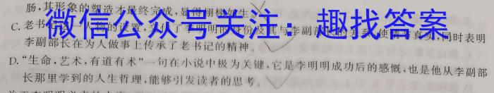 江西省2023年初中学业水平考试适应性试卷（二）语文