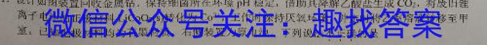 2023高考冲刺试卷 新高考(三)化学