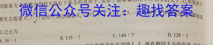 2023年湖北省新高考信息卷(四)物理`