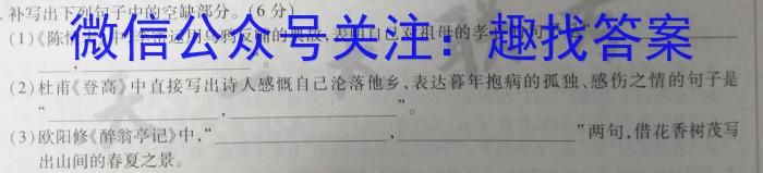河北省2022-2023学年高一期中(下)测试语文