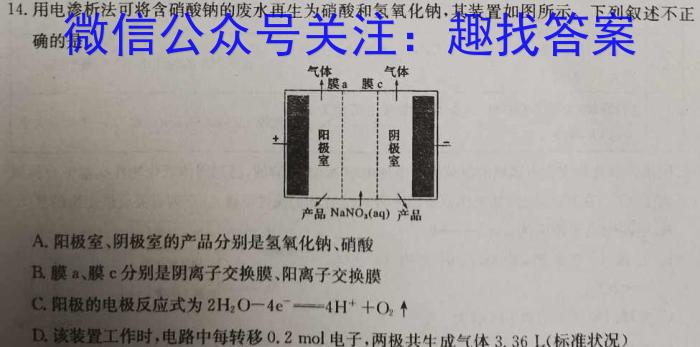 2023届名校之约·中考导向总复习模拟样卷 二轮(五)化学