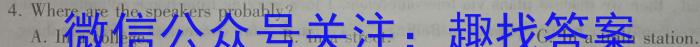 木牍&老庄大联考2023年4月安徽中考名校信息联考卷英语