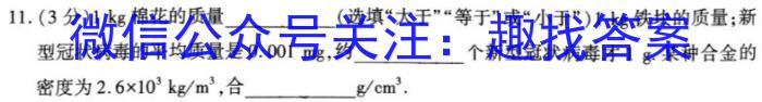 天一大联考 2023年高考全真冲刺卷(五)(六)物理.