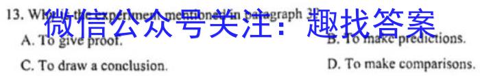 衡水名师卷 2023年辽宁名校联盟·信息卷(五)英语