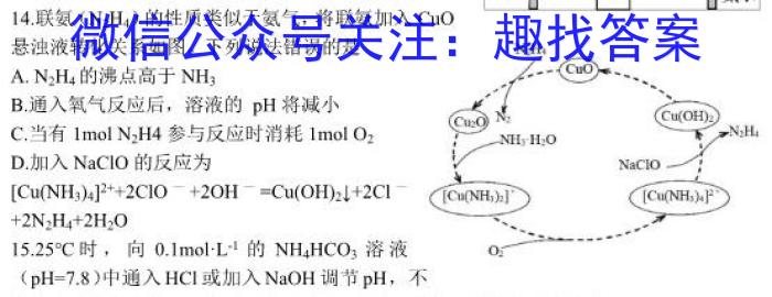 安徽省安庆市桐城市十校联考2024-2023学年九年级下学期选拔考试化学
