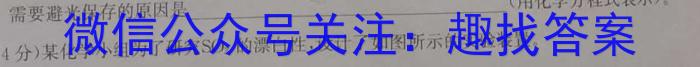 山西省2023年最新中考模拟训练试题（八）SHX化学