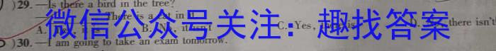 2023年河北省新高考模拟卷（一）英语