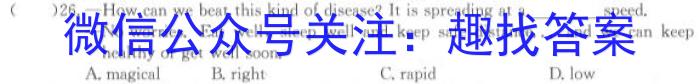 2023年湖北省新高考信息卷(四)英语