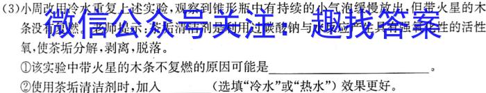 中考必刷卷·2023年安徽中考第一轮复习卷（七）化学