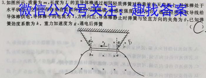 天一大联考广东省高三年级4月联考物理`