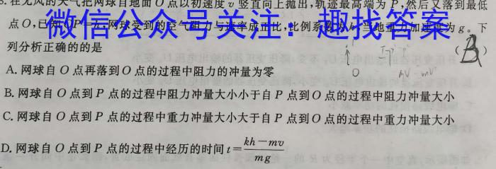 2023年炎德英才大联考高二年级4月联考q物理
