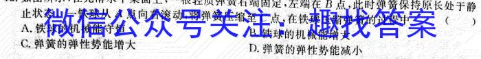 来安县2023届九年级“一模”试卷l物理
