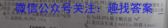 佩佩教育·2023年普通高校统一招生考试 湖南四大名校名师团队模拟冲刺卷(2)化学