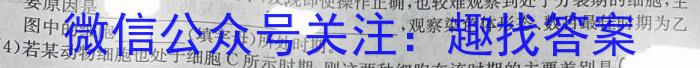 2023届普通高等学校招生全国统一考试 3月青桐鸣大联考(高三)(老高考)生物试卷答案