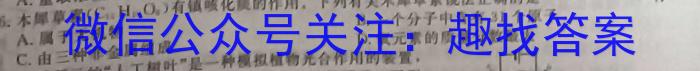 陕西省2023年初中学业水平考试模拟试题（一）化学