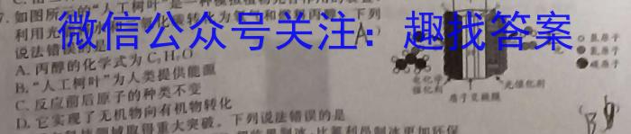 [湛江二模]广东省2023年湛江市普通高考第二次模拟测试(23-379C)化学